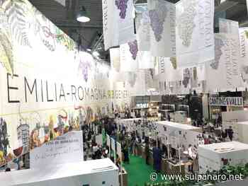 Vinitaly, successo per le cantine modenesi: Cantina di S. Croce di Carpi nella 5StarWines - SulPanaro
