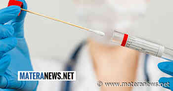 Coronavirus Matera, ultimissimo aggiornamento: 626 nuovi positivi di cui 74 a Matera, 12 a Pisticci, 11 a Bernalda e 10 a Policoro. Ecco i dati comune per comune - Matera News