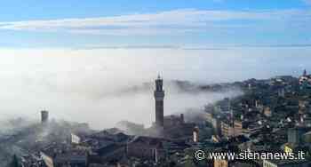 Meltea Keller, Guida ai palazzi di Siena - Siena News