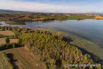 Lago di Chiusi, da Comune e Università di Siena una convenzione per uno studio sullo stato di salute - Siena News
