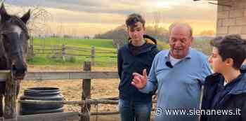 Aria di Palio: gli armadilli di Siena News e il cavallo, vero re della Piazza - Siena News