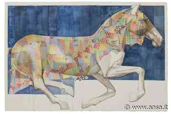 A Siena 'Capricci' di Tano Pisano - Toscana - ANSA.it - Agenzia ANSA