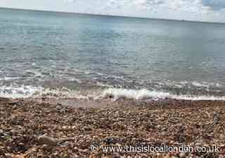 The allure of the seaside (Nidhi G, The Tiffin Girls' School)