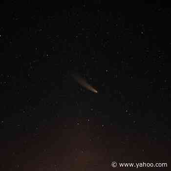 Every Major Asteroid in Astrology, Explained - Yahoo Life