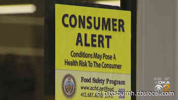 2 Pine Township Restaurants Hit With Consumer Alerts For Roach Infestations - CBS Pittsburgh
