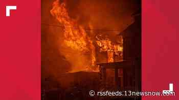 Two dogs rescued from Norfolk fire