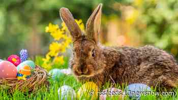 Easter Event Guide: Here's what's happening this weekend across Hampton Roads