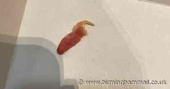 McDonald's apologises after vegan diner finds bacon in McPlant burger in Sutton Coldfield - Birmingham Live