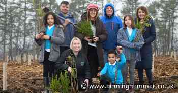 Work starts in Sutton Coldfield to plant thousands of trees at Manorial Wood after controversial felling - Birmingham Live