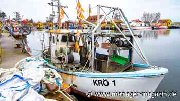 Fischerei: Deutsche Fischkutter bleiben wegen hoher Dieselpreise in den Häfen