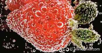 Shot on iPhone: Winners of Apple's Macro Photography Contest     - CNET