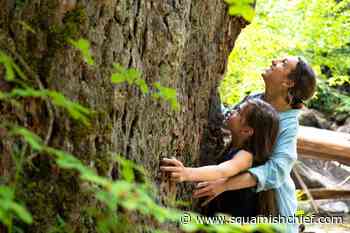 Breaking down the federal budget for Squamish residents - Squamish Chief
