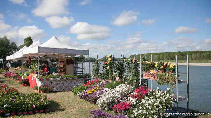 A Guastalla ritorna “Georgica” la festa della terra delle acque e del lavoro nei campi - La Gazzetta di Reggio