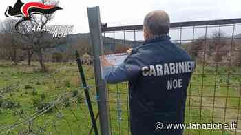 Rifiuti tessili da Prato alla Sardegna, scoperte 130 tonnellate sotto terra - LA NAZIONE