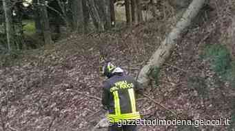 Modena e provincia: vento forte, oltre 100 chiamate ai vigili del fuoco - La Gazzetta di Modena