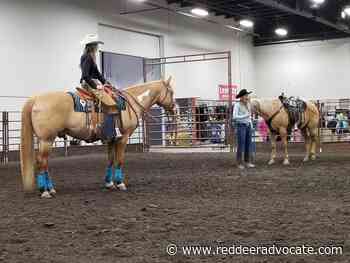 Horse Expo in Red Deer attracts a crowd – Red Deer Advocate - Red Deer Advocate