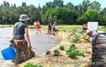 Red Deer projects funded through Alberta's Civil Society Fund – Red Deer Advocate - Red Deer Advocate