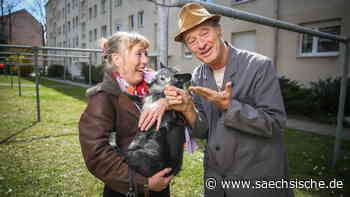 Dresden: Tom Gerhardt in Dresden: "Das Feuilleton hätte mich damals am liebsten ermordet" - Sächsische.de