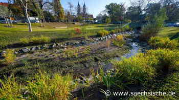 Dresden: Erweiterung der Parkanlage am Kaitzbach führt zu Straßensperrungen - Sächsische.de