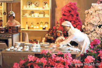 Dresden: Kamelien (ver)gehen, die Azaleen kommen - TAG24