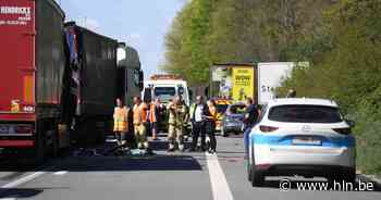 Vrachtwagenchauffeur overleden bij zwaar ongeval op E40 in Everberg - Het Laatste Nieuws