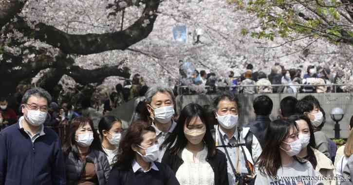 Amicizia, erotismo e disparità salariali: quattro libri di narrativa giapponese da non perdere