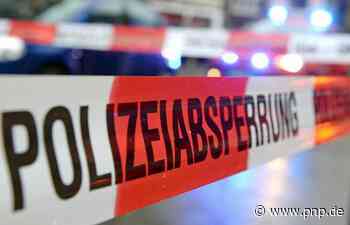 Schaufensterpuppe löst Großeinsatz in Linz aus - Polizei schickt beste Truppen - Passauer Neue Presse - PNP.de