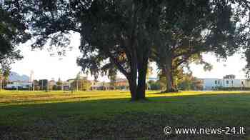 Sabaudia. Decoro urbano, il candidato sindaco Enzo Di Capua “Piazza Roma ferisce lo sguardo e il cuore di chi vive e visita questa città” - News-24.it