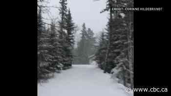 Spring storm begins with snowfall in Kenora, Ont. - CBC.ca