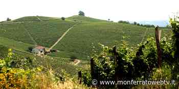 Acqui Terme - "Super, i Colli!" scoprite il territorio tra benessere, degustazioni, shopping e giochi - Monferrato Web TV