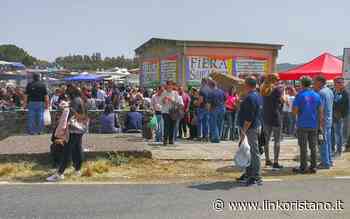 Ritorna anche la Fiera di San Marco a Ollastra: esposizione ancora più ricca e tanti eventi - LinkOristano