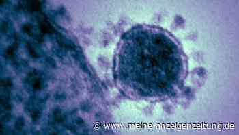 Corona-Pandemie: Forscher melden neues Omikron-Symptom - das vor allem bei Kleinkindern auftritt