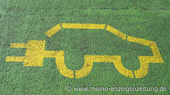 Elektroautos im Verbrauchstest: Dacia und Hyundai überzeugen