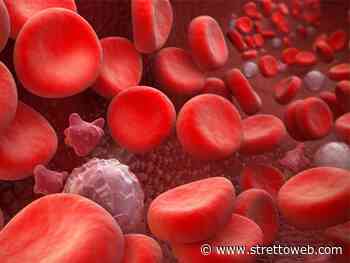 A Messina un convegno scientifico sulle Patologie del sangue - StrettoWeb