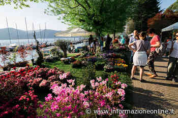 Torna a Ispra InFiorita: evento dedicato a florovivaismo, benessere e sostenibilità - InformazioneOnline.it