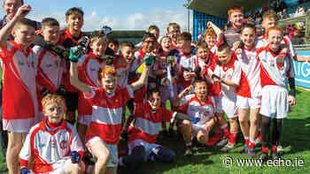 St Lorcan's BNS bring home Corn Matt Griffin - The Echo Newspaper