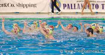 Pallanuoto, Samer autorizza Trieste a sognare: “Presto lo Scudetto” - Trieste News