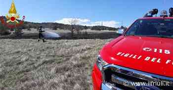 Principio d'incendio di sterpaglie a Trieste - Il Friuli