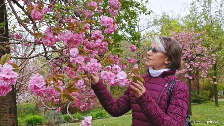 Giallo di Trieste, l'ipotesi di una lettera d'addio di Liliana cercata da subito e mai trovata - Il Piccolo