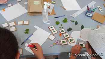 Centri estivi di Trieste: servizio ampliato con 575 posti in più. Ecco dove - Il Piccolo