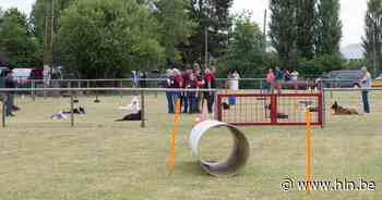 Honden Unief Leuven zoekt dringend nieuwe locatie maar vangt voorlopig overal bot: “In november staan we op straat” - Het Laatste Nieuws