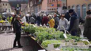 Mehr als nur ein Blumenmarkt in Bischofsheim - Main-Post