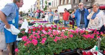 Bloemenmarkt keert terug in Oudenaarde | Oudenaarde - Het Laatste Nieuws