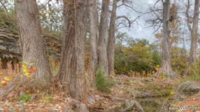 EMS: Person bitten by snake in Reimers Ranch