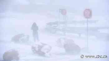 Why ajuinata is the Inuktitut word we could all use right now