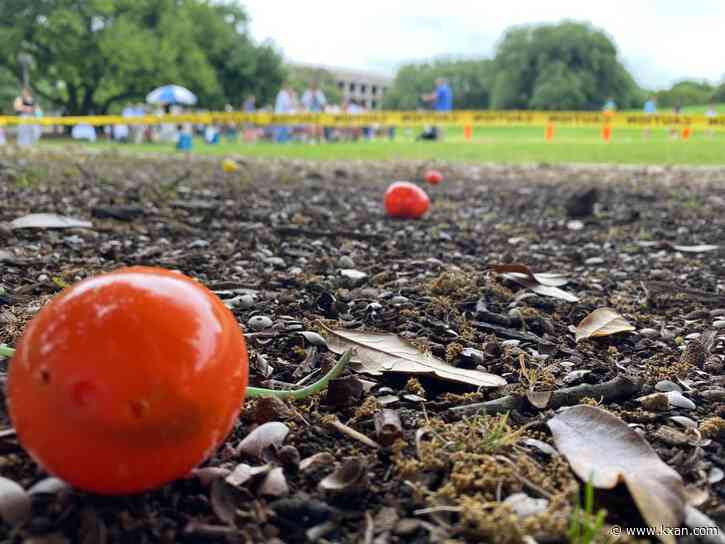 Easter weekend kicks off with 7th annual 'Easter Egg Roll' at LBJ Library