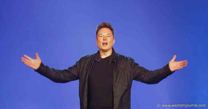 Twitter Hastily Enacts New Rule in Desperate Attempt to Stop Elon Musk