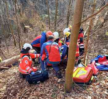 Große Rettungsaktion - Waldarbeiter verletzt sich schwer - Neue Presse Coburg