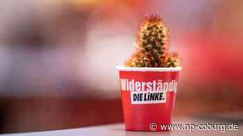 Hessen - Übergriffe in Partei? Linke will neutrale Vertrauensleute - Neue Presse Coburg