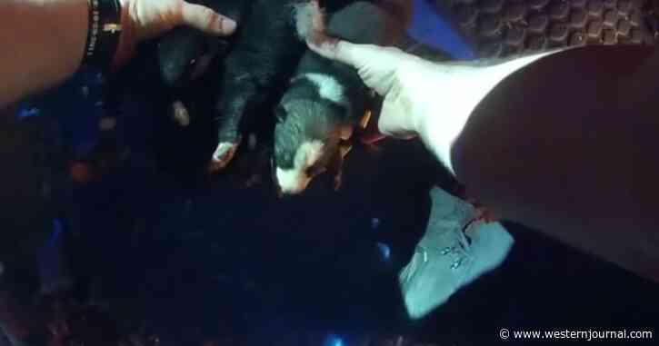 Police Respond to House Fire; Neighbor Tells Them Puppies Are Trapped in Burning Garage